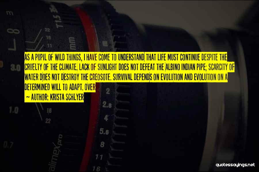 Krista Schlyer Quotes: As A Pupil Of Wild Things, I Have Come To Understand That Life Must Continue Despite The Cruelty Of The