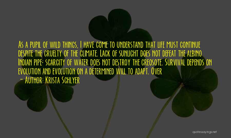 Krista Schlyer Quotes: As A Pupil Of Wild Things, I Have Come To Understand That Life Must Continue Despite The Cruelty Of The