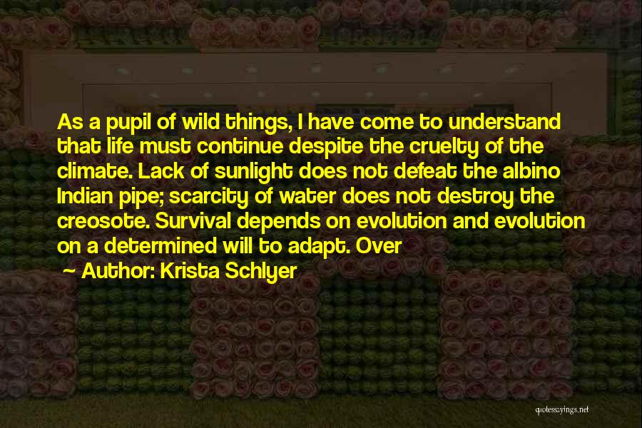 Krista Schlyer Quotes: As A Pupil Of Wild Things, I Have Come To Understand That Life Must Continue Despite The Cruelty Of The