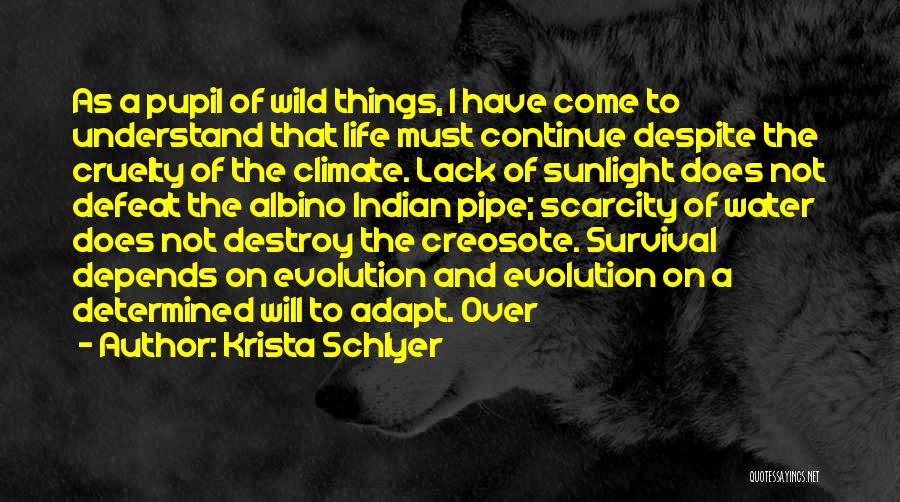 Krista Schlyer Quotes: As A Pupil Of Wild Things, I Have Come To Understand That Life Must Continue Despite The Cruelty Of The