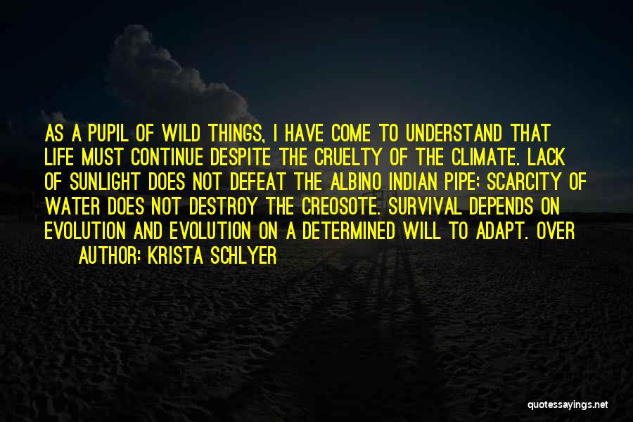 Krista Schlyer Quotes: As A Pupil Of Wild Things, I Have Come To Understand That Life Must Continue Despite The Cruelty Of The