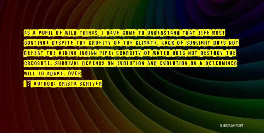 Krista Schlyer Quotes: As A Pupil Of Wild Things, I Have Come To Understand That Life Must Continue Despite The Cruelty Of The