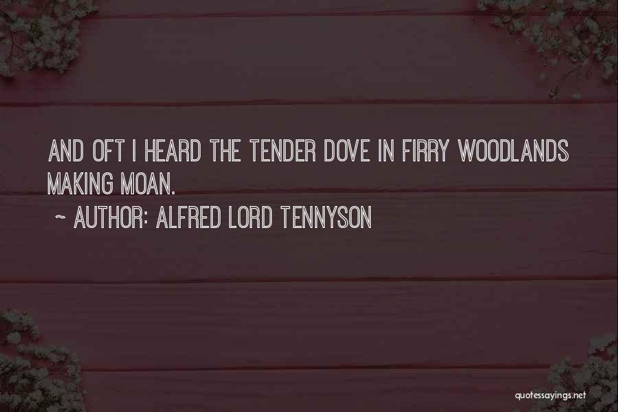 Alfred Lord Tennyson Quotes: And Oft I Heard The Tender Dove In Firry Woodlands Making Moan.