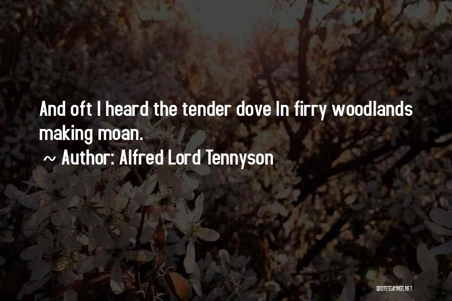 Alfred Lord Tennyson Quotes: And Oft I Heard The Tender Dove In Firry Woodlands Making Moan.