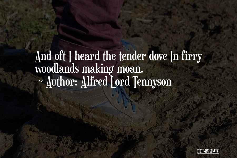 Alfred Lord Tennyson Quotes: And Oft I Heard The Tender Dove In Firry Woodlands Making Moan.