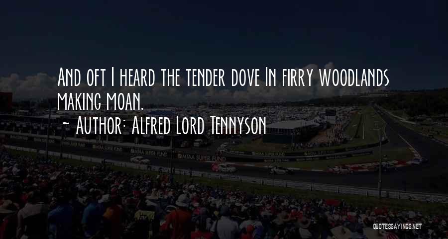 Alfred Lord Tennyson Quotes: And Oft I Heard The Tender Dove In Firry Woodlands Making Moan.