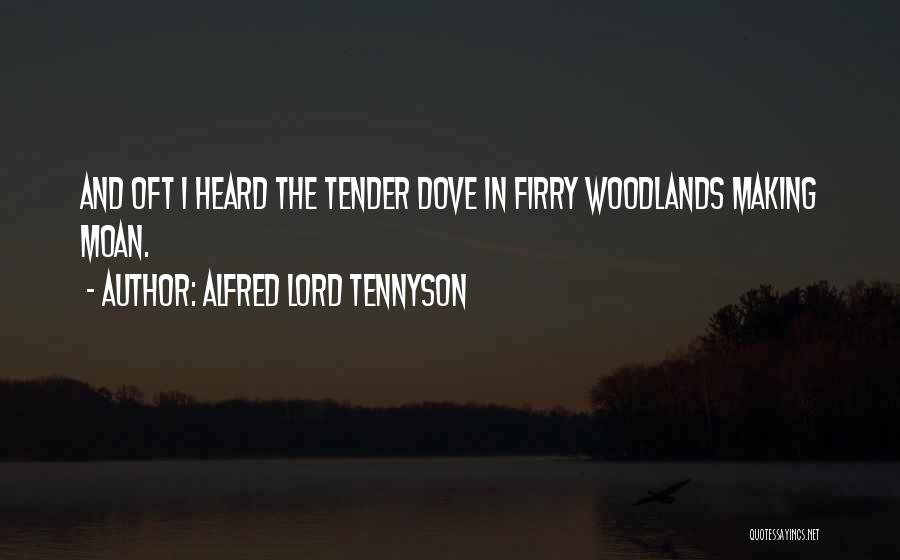 Alfred Lord Tennyson Quotes: And Oft I Heard The Tender Dove In Firry Woodlands Making Moan.