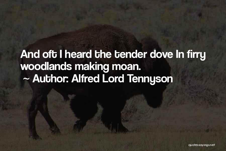 Alfred Lord Tennyson Quotes: And Oft I Heard The Tender Dove In Firry Woodlands Making Moan.