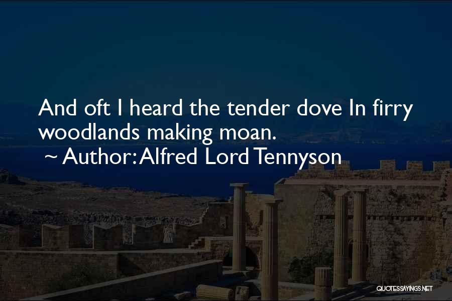 Alfred Lord Tennyson Quotes: And Oft I Heard The Tender Dove In Firry Woodlands Making Moan.