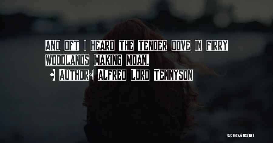 Alfred Lord Tennyson Quotes: And Oft I Heard The Tender Dove In Firry Woodlands Making Moan.