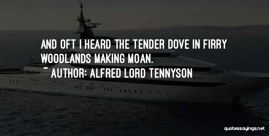 Alfred Lord Tennyson Quotes: And Oft I Heard The Tender Dove In Firry Woodlands Making Moan.