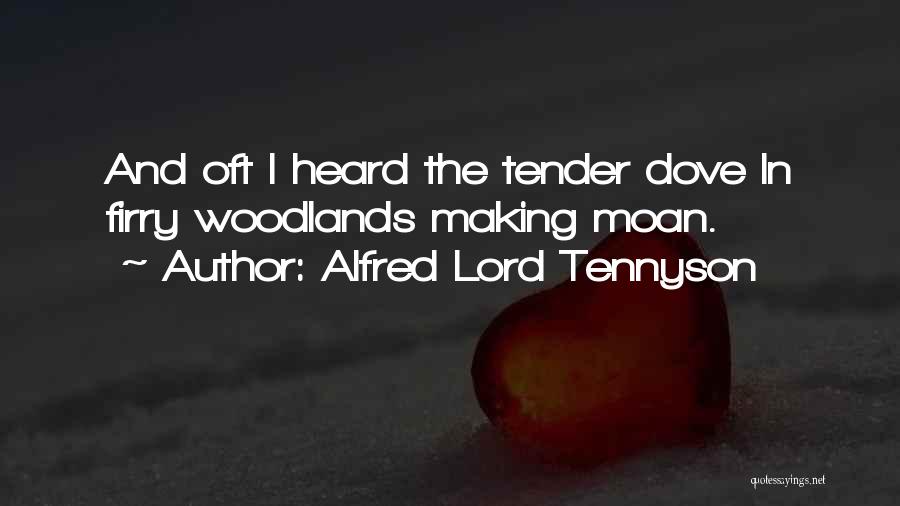 Alfred Lord Tennyson Quotes: And Oft I Heard The Tender Dove In Firry Woodlands Making Moan.