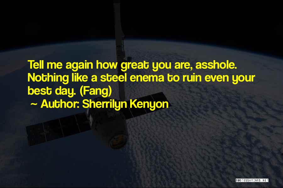 Sherrilyn Kenyon Quotes: Tell Me Again How Great You Are, Asshole. Nothing Like A Steel Enema To Ruin Even Your Best Day. (fang)