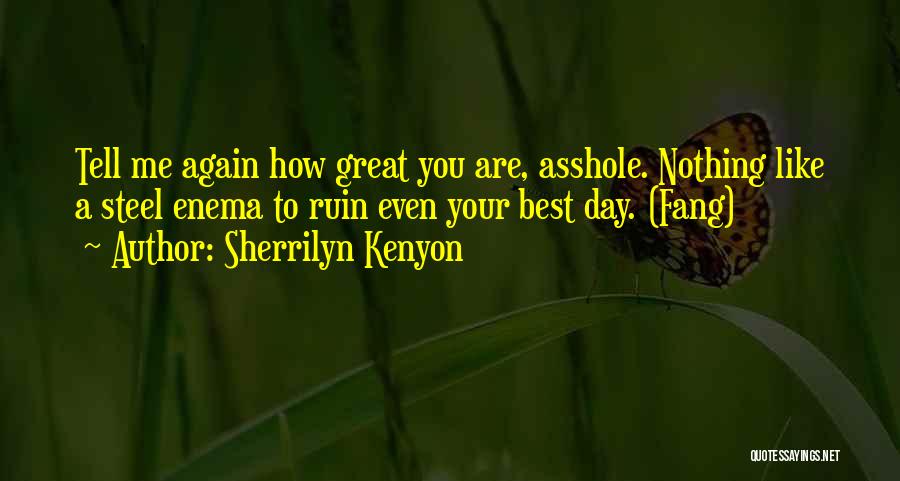 Sherrilyn Kenyon Quotes: Tell Me Again How Great You Are, Asshole. Nothing Like A Steel Enema To Ruin Even Your Best Day. (fang)