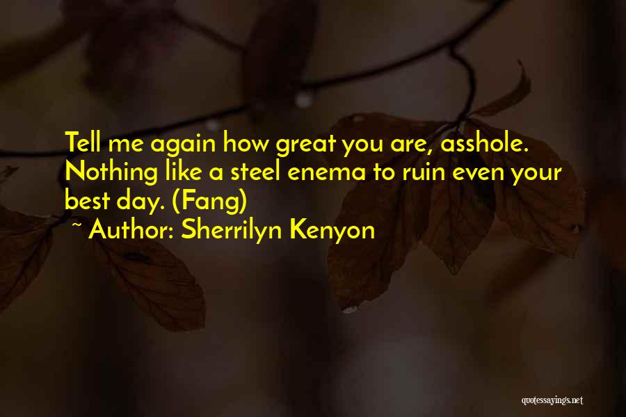 Sherrilyn Kenyon Quotes: Tell Me Again How Great You Are, Asshole. Nothing Like A Steel Enema To Ruin Even Your Best Day. (fang)