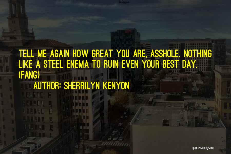 Sherrilyn Kenyon Quotes: Tell Me Again How Great You Are, Asshole. Nothing Like A Steel Enema To Ruin Even Your Best Day. (fang)