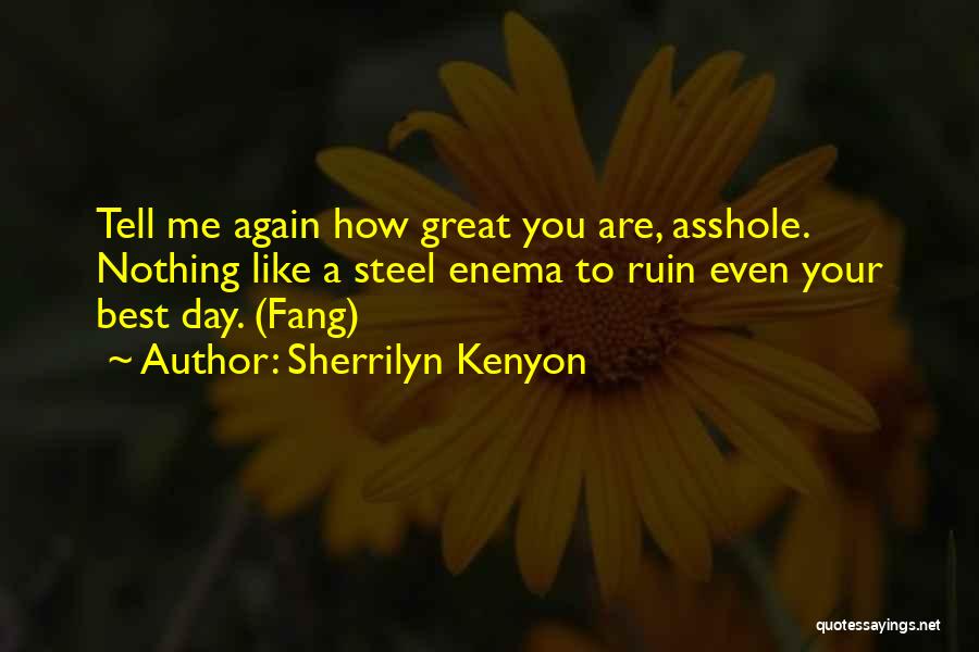 Sherrilyn Kenyon Quotes: Tell Me Again How Great You Are, Asshole. Nothing Like A Steel Enema To Ruin Even Your Best Day. (fang)