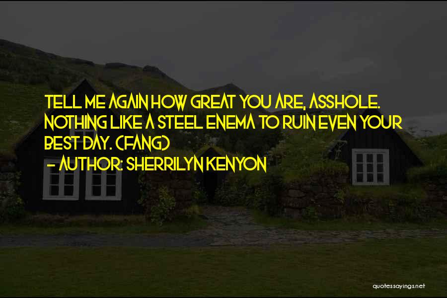 Sherrilyn Kenyon Quotes: Tell Me Again How Great You Are, Asshole. Nothing Like A Steel Enema To Ruin Even Your Best Day. (fang)