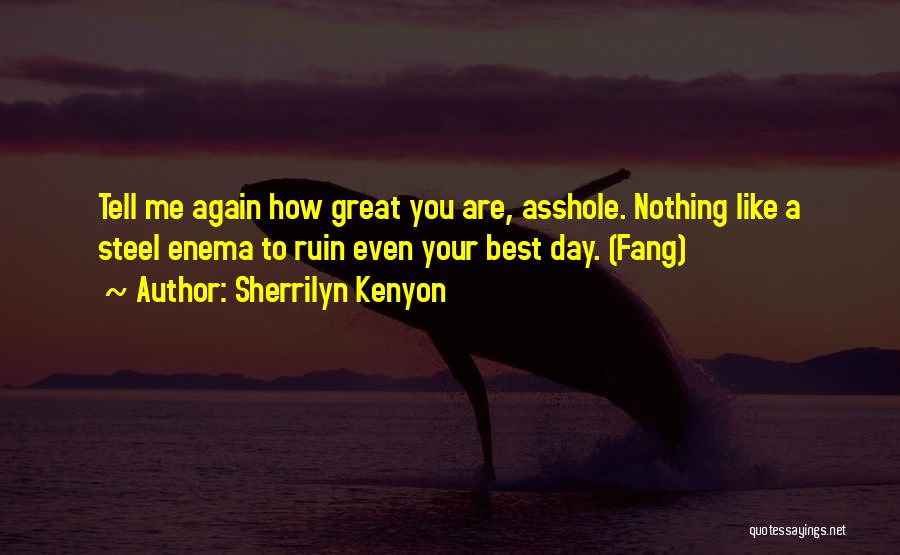 Sherrilyn Kenyon Quotes: Tell Me Again How Great You Are, Asshole. Nothing Like A Steel Enema To Ruin Even Your Best Day. (fang)