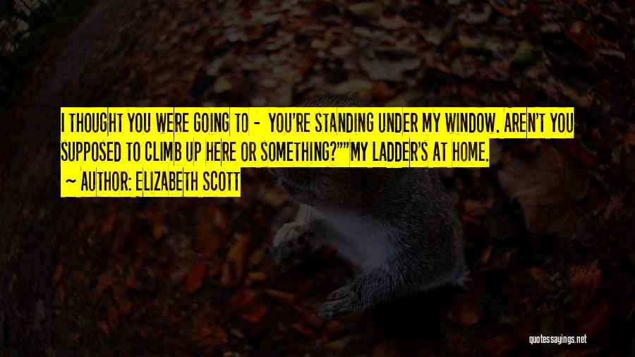 Elizabeth Scott Quotes: I Thought You Were Going To - You're Standing Under My Window. Aren't You Supposed To Climb Up Here Or