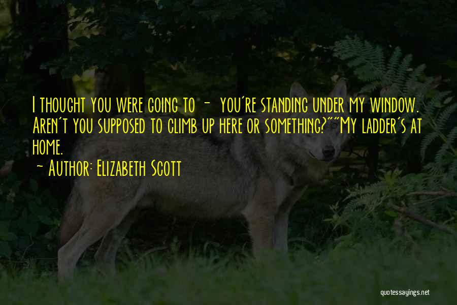 Elizabeth Scott Quotes: I Thought You Were Going To - You're Standing Under My Window. Aren't You Supposed To Climb Up Here Or