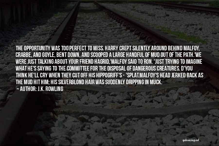 J.K. Rowling Quotes: The Opportunity Was Too Perfect To Miss. Harry Crept Silently Around Behind Malfoy, Crabbe, And Goyle, Bent Down, And Scooped