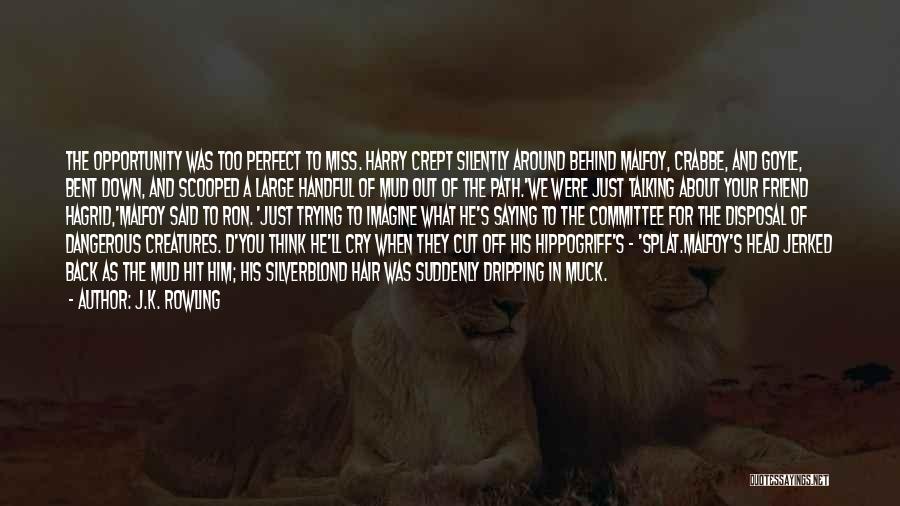 J.K. Rowling Quotes: The Opportunity Was Too Perfect To Miss. Harry Crept Silently Around Behind Malfoy, Crabbe, And Goyle, Bent Down, And Scooped