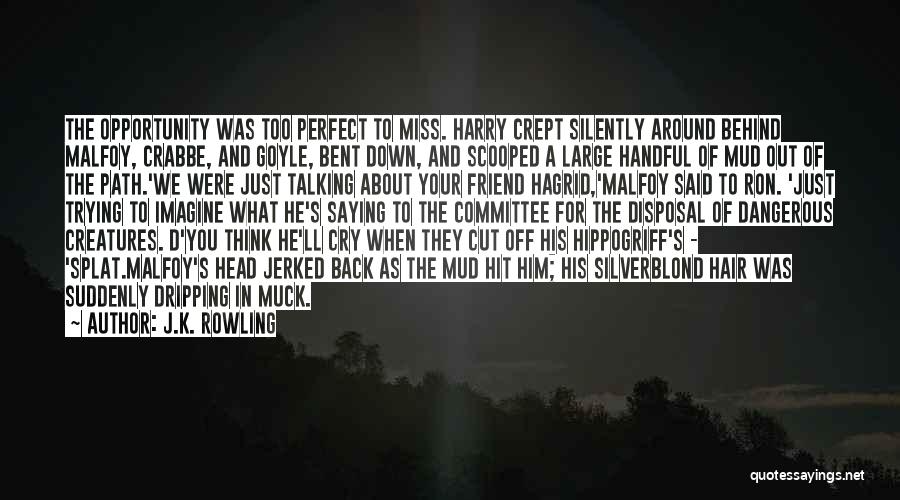 J.K. Rowling Quotes: The Opportunity Was Too Perfect To Miss. Harry Crept Silently Around Behind Malfoy, Crabbe, And Goyle, Bent Down, And Scooped