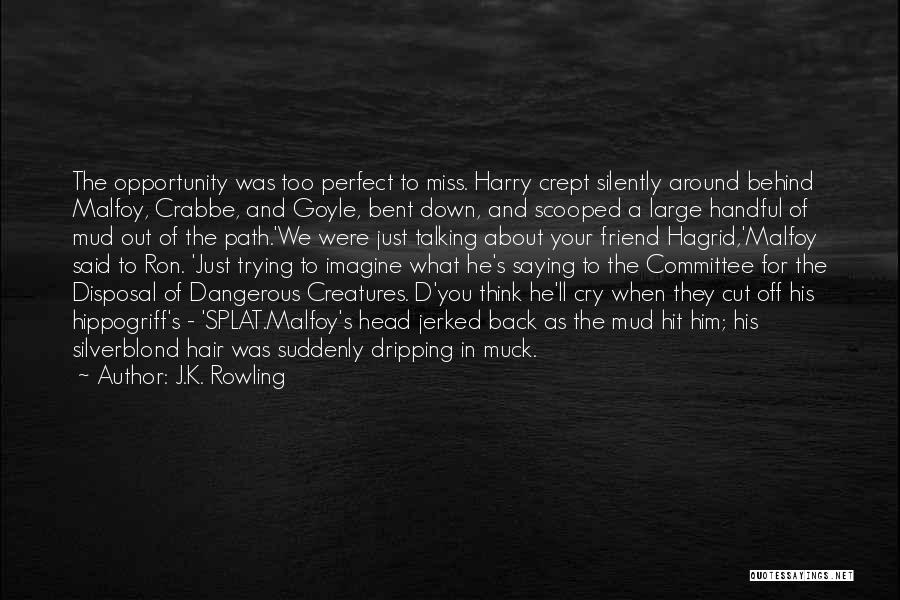 J.K. Rowling Quotes: The Opportunity Was Too Perfect To Miss. Harry Crept Silently Around Behind Malfoy, Crabbe, And Goyle, Bent Down, And Scooped