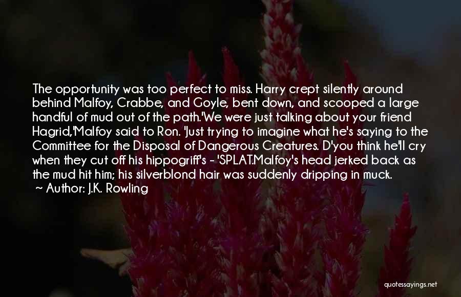 J.K. Rowling Quotes: The Opportunity Was Too Perfect To Miss. Harry Crept Silently Around Behind Malfoy, Crabbe, And Goyle, Bent Down, And Scooped