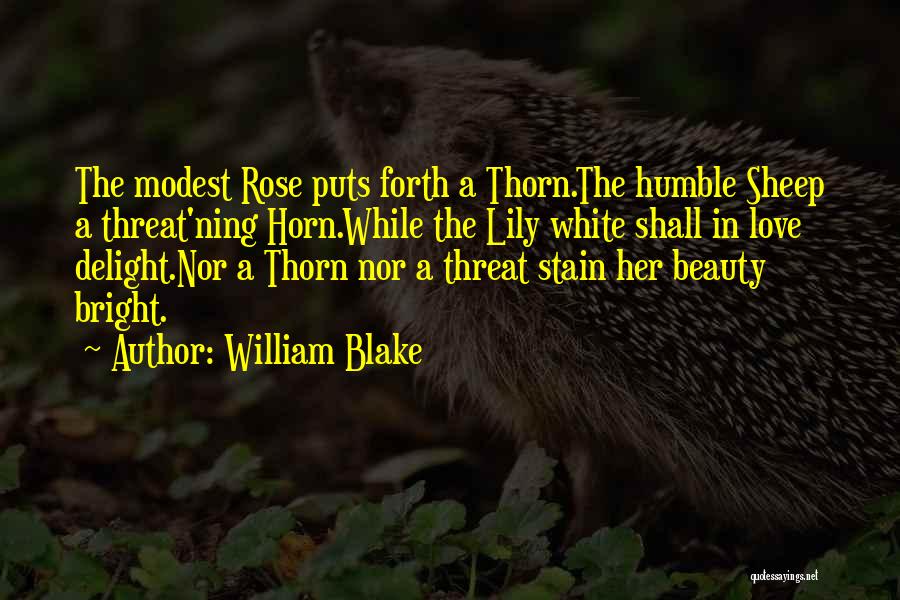 William Blake Quotes: The Modest Rose Puts Forth A Thorn.the Humble Sheep A Threat'ning Horn.while The Lily White Shall In Love Delight.nor A