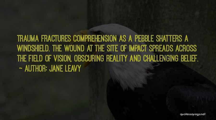 Jane Leavy Quotes: Trauma Fractures Comprehension As A Pebble Shatters A Windshield. The Wound At The Site Of Impact Spreads Across The Field