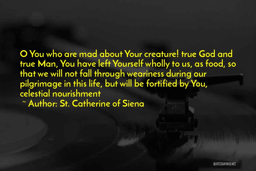 St. Catherine Of Siena Quotes: O You Who Are Mad About Your Creature! True God And True Man, You Have Left Yourself Wholly To Us,