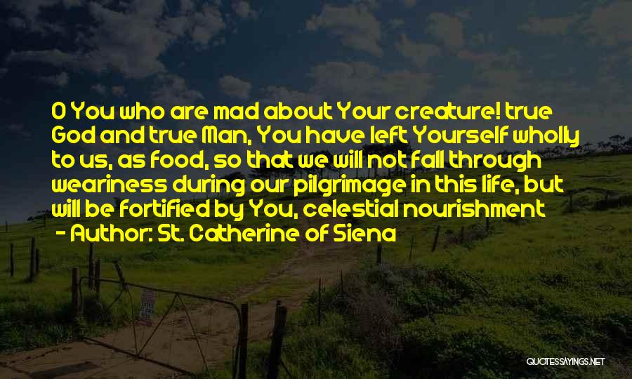 St. Catherine Of Siena Quotes: O You Who Are Mad About Your Creature! True God And True Man, You Have Left Yourself Wholly To Us,