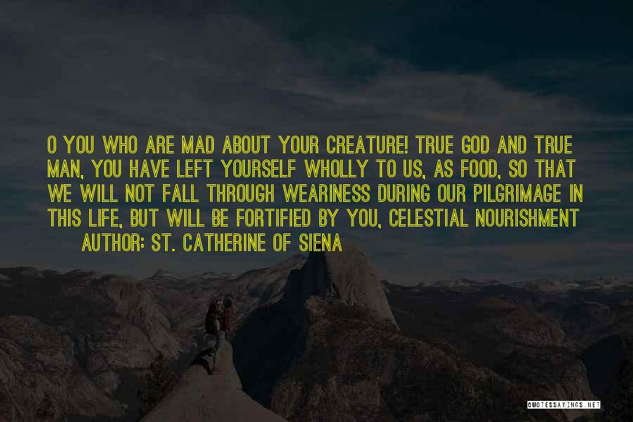 St. Catherine Of Siena Quotes: O You Who Are Mad About Your Creature! True God And True Man, You Have Left Yourself Wholly To Us,