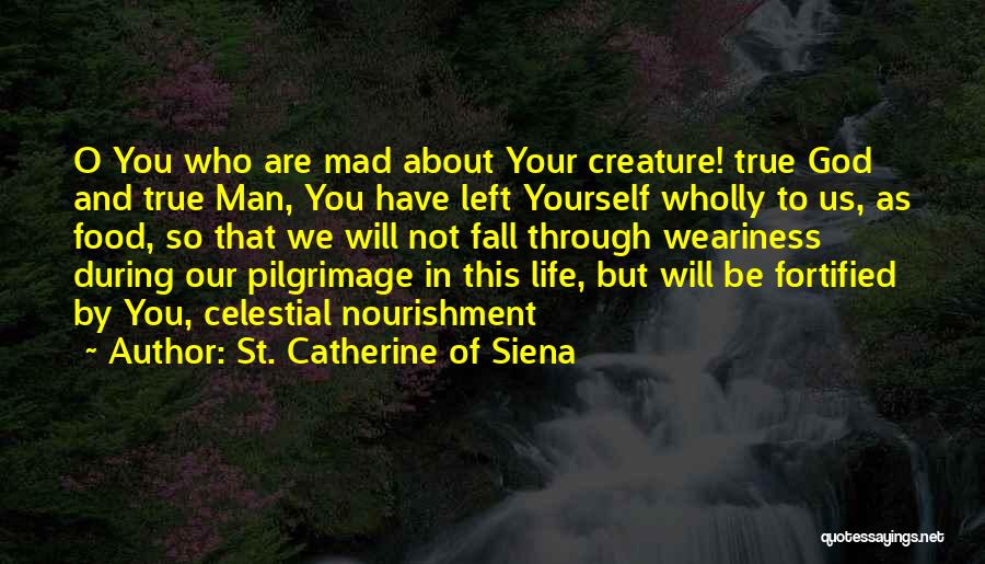 St. Catherine Of Siena Quotes: O You Who Are Mad About Your Creature! True God And True Man, You Have Left Yourself Wholly To Us,