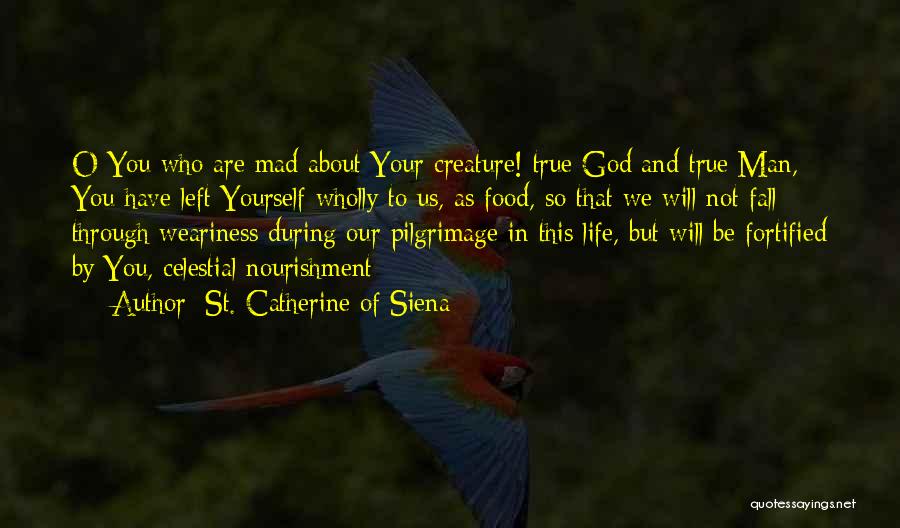 St. Catherine Of Siena Quotes: O You Who Are Mad About Your Creature! True God And True Man, You Have Left Yourself Wholly To Us,