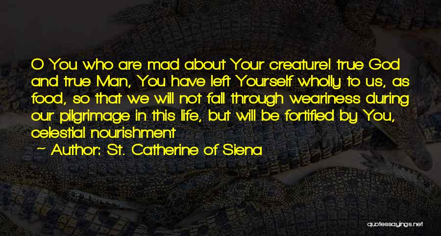 St. Catherine Of Siena Quotes: O You Who Are Mad About Your Creature! True God And True Man, You Have Left Yourself Wholly To Us,