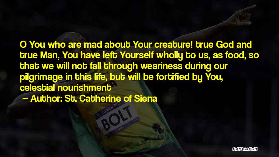 St. Catherine Of Siena Quotes: O You Who Are Mad About Your Creature! True God And True Man, You Have Left Yourself Wholly To Us,