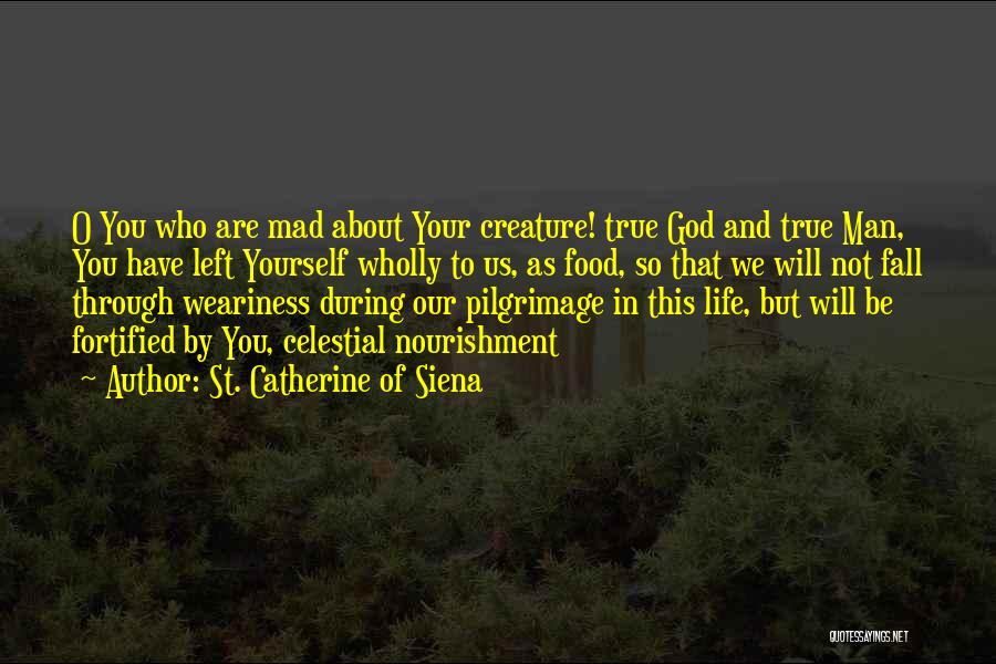 St. Catherine Of Siena Quotes: O You Who Are Mad About Your Creature! True God And True Man, You Have Left Yourself Wholly To Us,