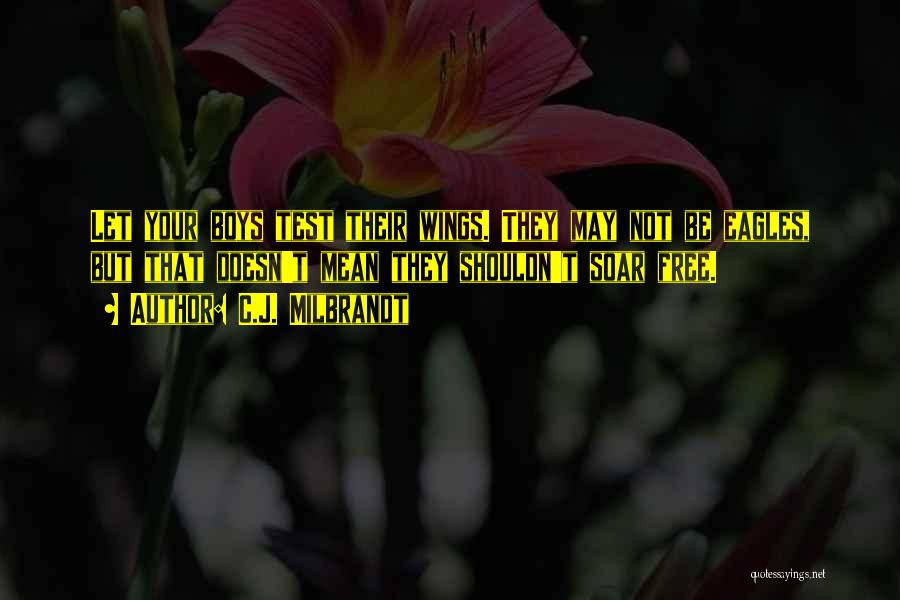 C.J. Milbrandt Quotes: Let Your Boys Test Their Wings. They May Not Be Eagles, But That Doesn't Mean They Shouldn't Soar Free.