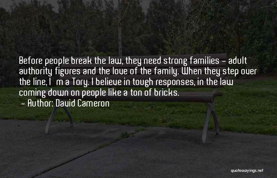 David Cameron Quotes: Before People Break The Law, They Need Strong Families - Adult Authority Figures And The Love Of The Family. When