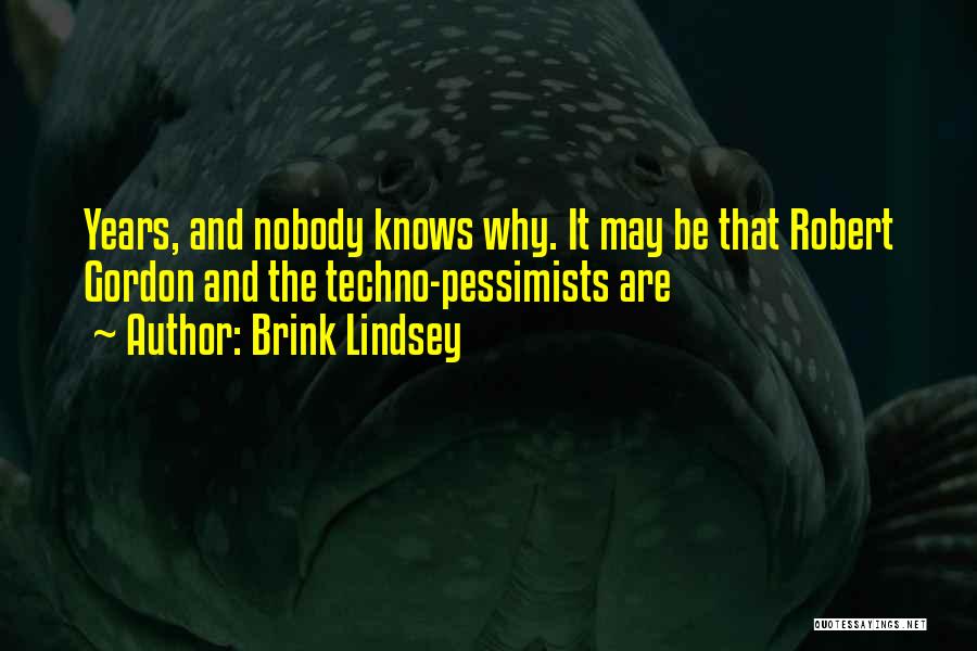 Brink Lindsey Quotes: Years, And Nobody Knows Why. It May Be That Robert Gordon And The Techno-pessimists Are