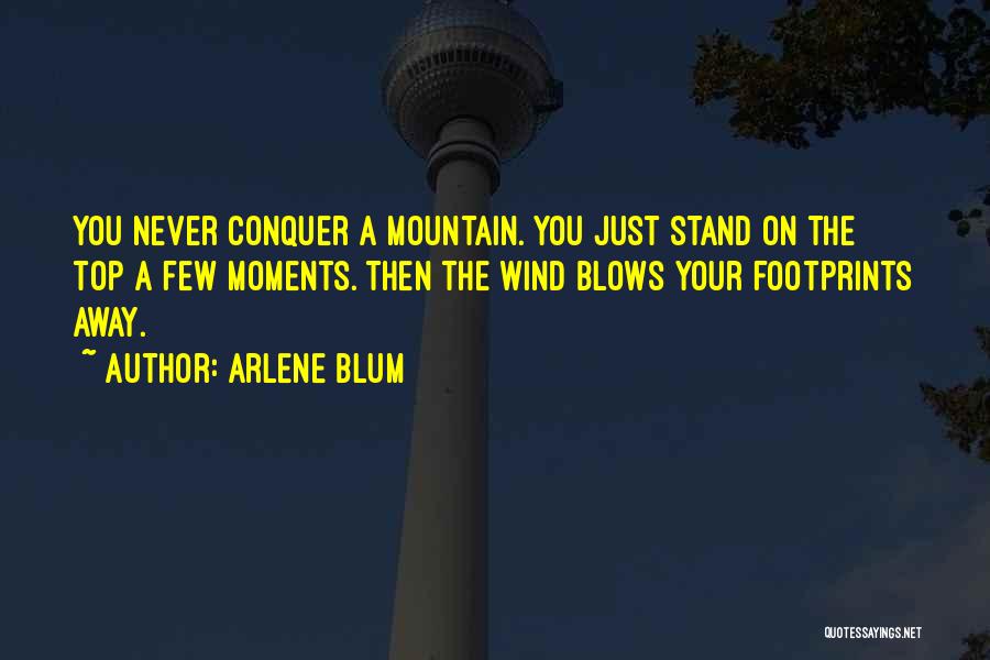 Arlene Blum Quotes: You Never Conquer A Mountain. You Just Stand On The Top A Few Moments. Then The Wind Blows Your Footprints