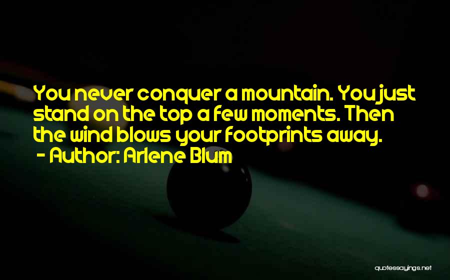 Arlene Blum Quotes: You Never Conquer A Mountain. You Just Stand On The Top A Few Moments. Then The Wind Blows Your Footprints