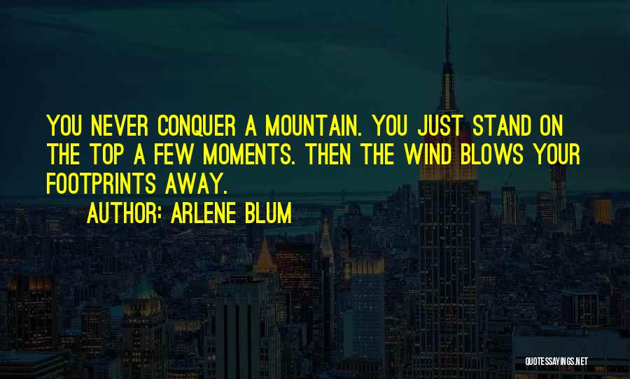 Arlene Blum Quotes: You Never Conquer A Mountain. You Just Stand On The Top A Few Moments. Then The Wind Blows Your Footprints