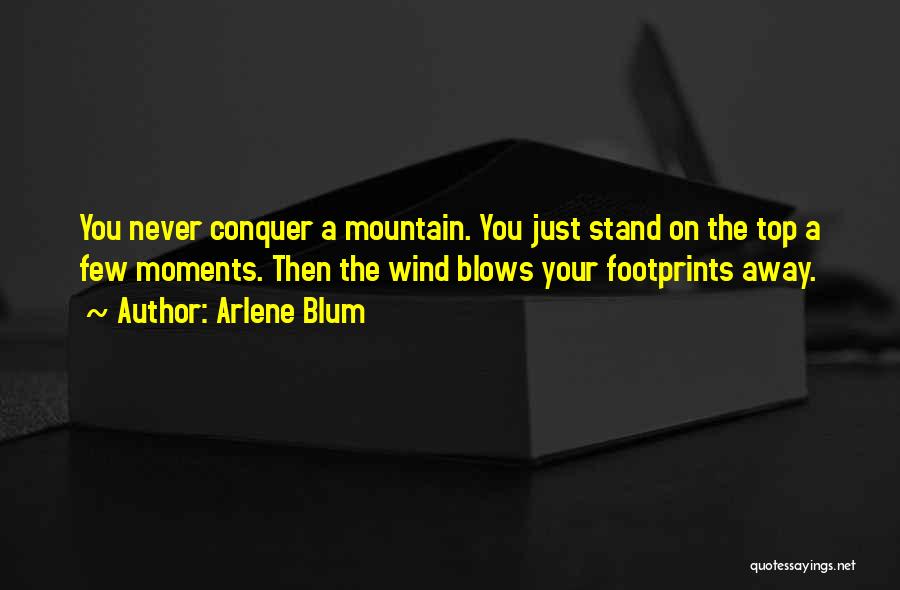 Arlene Blum Quotes: You Never Conquer A Mountain. You Just Stand On The Top A Few Moments. Then The Wind Blows Your Footprints