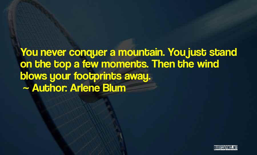 Arlene Blum Quotes: You Never Conquer A Mountain. You Just Stand On The Top A Few Moments. Then The Wind Blows Your Footprints