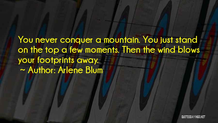 Arlene Blum Quotes: You Never Conquer A Mountain. You Just Stand On The Top A Few Moments. Then The Wind Blows Your Footprints
