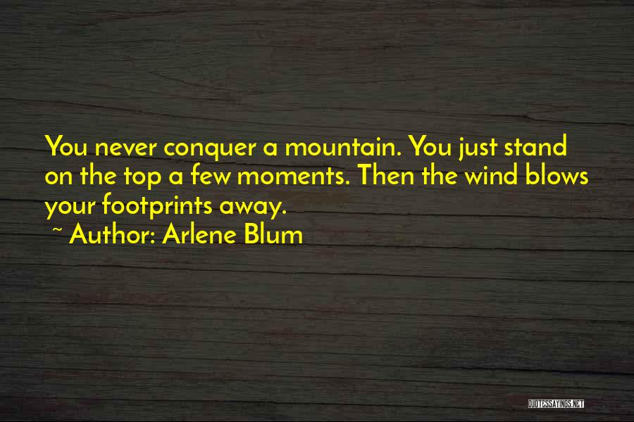 Arlene Blum Quotes: You Never Conquer A Mountain. You Just Stand On The Top A Few Moments. Then The Wind Blows Your Footprints